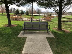 Photo of a bronze memorial bench sitting between two shade trees.