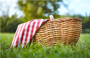 Picnic basket sitting in a grassy field