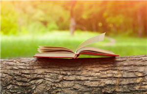 An open book laying on a log with a grass field and trees in the background.
